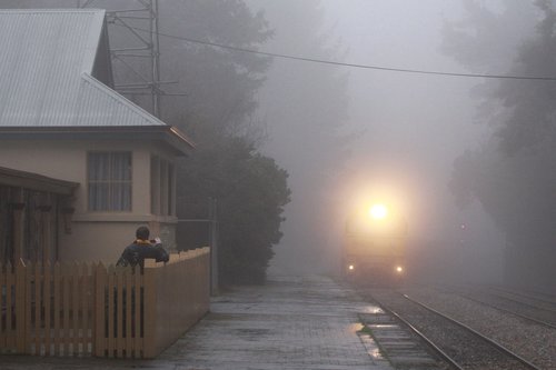 Something appearing out of the fog at Mt Lofty