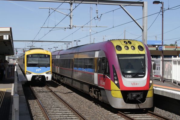 VLocity 3VL50 leads a down Geelong service past an up Siemens train at Laverton station